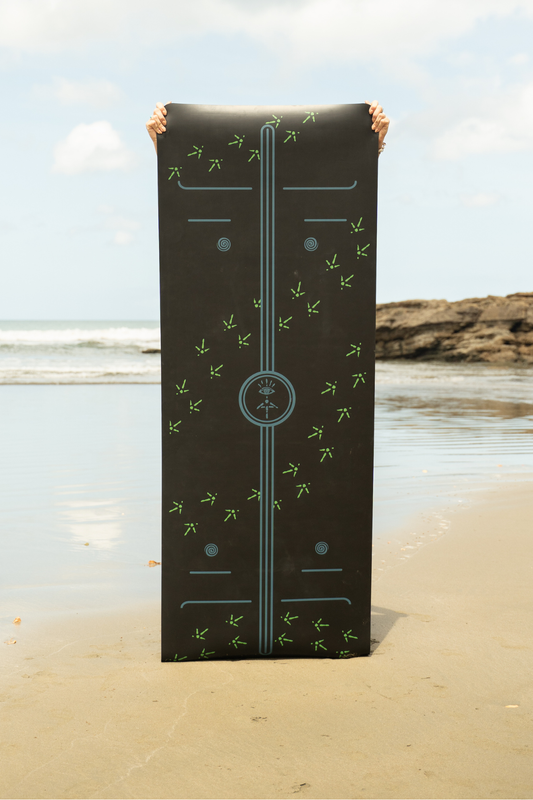 PRITHVI (पृथ्वी)