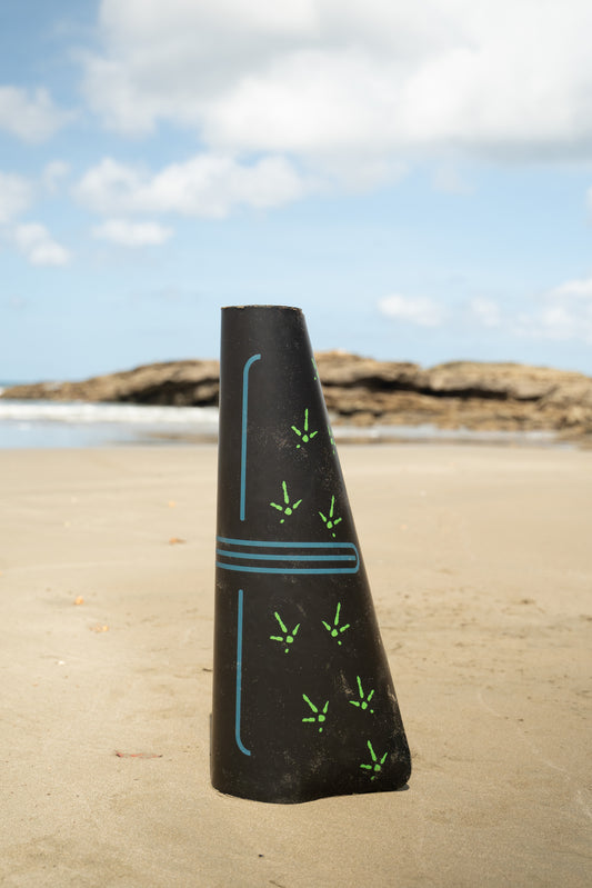 PRITHVI (पृथ्वी)